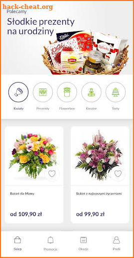 E-kwiaty screenshot