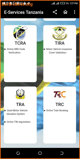 E-services Tanzania screenshot