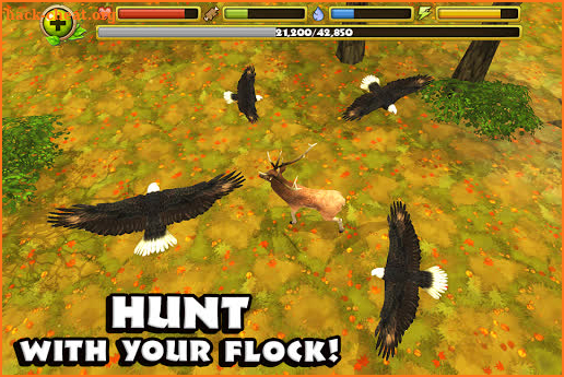 Eagle Simulator™ screenshot