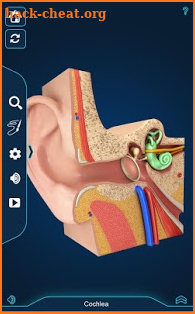 Ear Anatomy Pro. screenshot