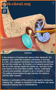 Ear Anatomy Pro. screenshot