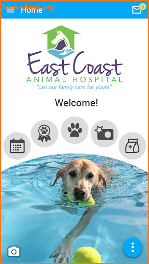 East Coast Animal Hospital screenshot