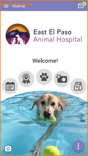 East El Paso Animal Hospital screenshot