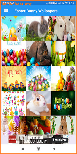 Easter Bunny HD Wallpapers screenshot