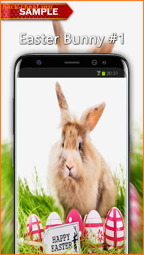 Easter Bunny Wallpapers screenshot