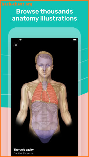 Easy Anatomy - Learn anatomy efficiently screenshot