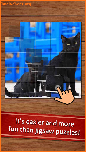 Easy cat puzzle screenshot