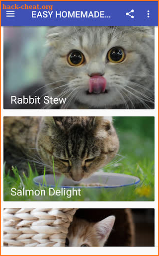 EASY HOMEMADE CAT FOOD RECIPES screenshot