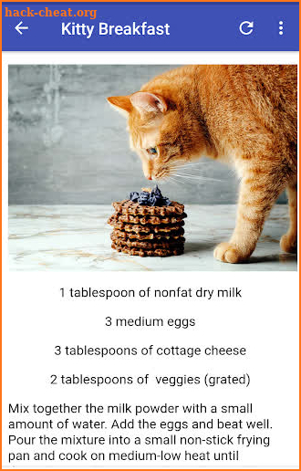 EASY HOMEMADE CAT FOOD RECIPES screenshot