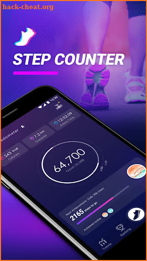 Easy Pedometer screenshot