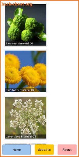 EbM - Essential Oils Reference Guide screenshot