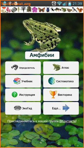 EcoGuide: Russian Amphibians screenshot