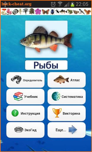 EcoGuide: Russian Fish screenshot