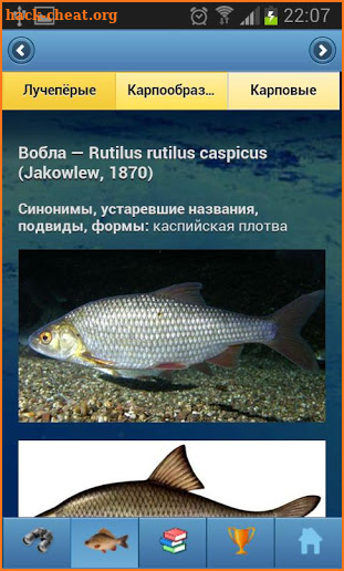 EcoGuide: Russian Fish screenshot