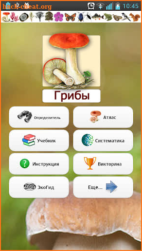 EcoGuide: Russian Fungi screenshot