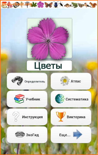EcoGuide: Russian Wild Flowers screenshot