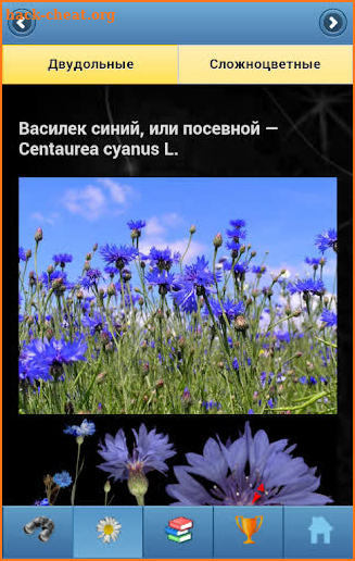 EcoGuide: Russian Wild Flowers screenshot