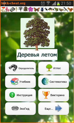 EcoGuide: Trees in Summer screenshot