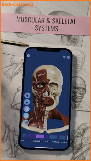 Ecorche: Portrait Anatomy screenshot