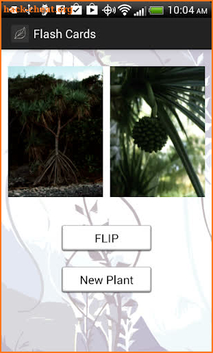 Edible and Poisonous Plants screenshot