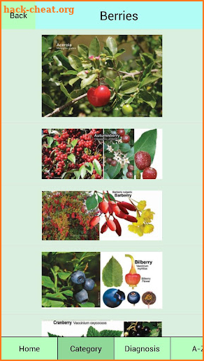 Edible Plant Guide screenshot