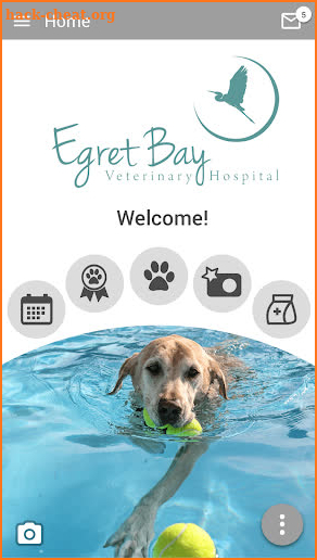 Egret Bay Veterinary Hosp screenshot