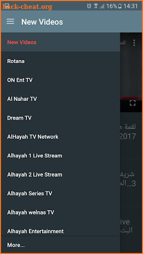 Egypt TV screenshot