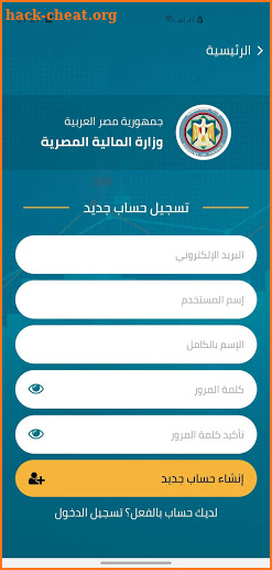 Egyptian Ministry of Finance screenshot