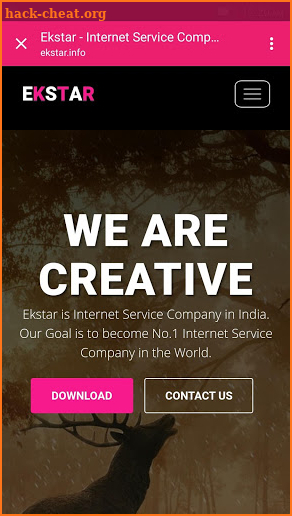 Ekstar Browser screenshot