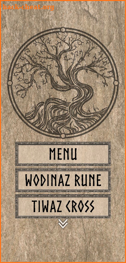 Elder Futhark Runes screenshot