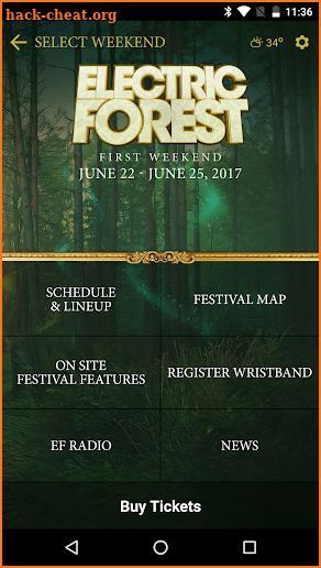 Electric Forest Festival screenshot