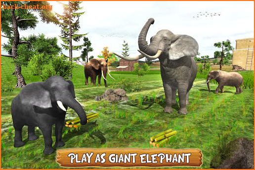 Elephant Family Simulator: Wild Animal Survival screenshot