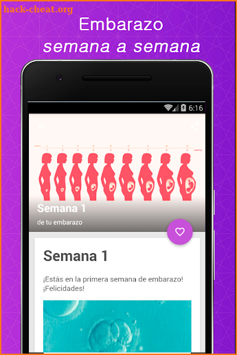Embarazo semana a semana español screenshot