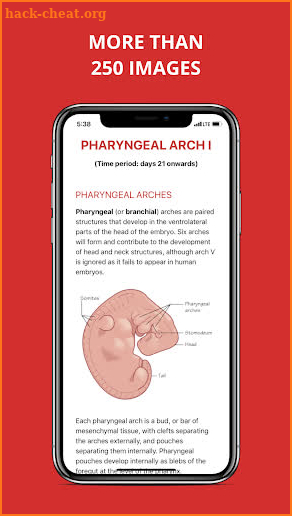 Embryology Pro screenshot