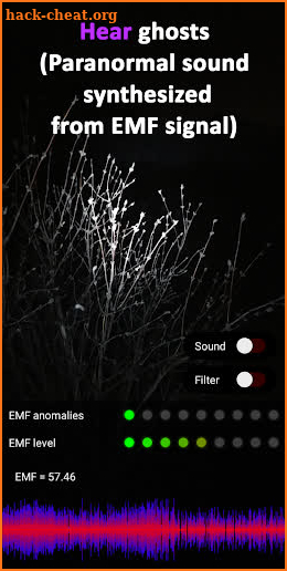 EMF Ghost Detector: Communicator and camera screenshot