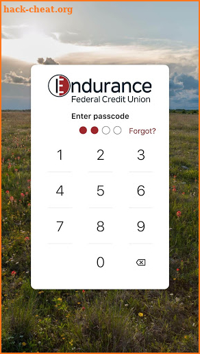 Endurance FCU Mobile screenshot