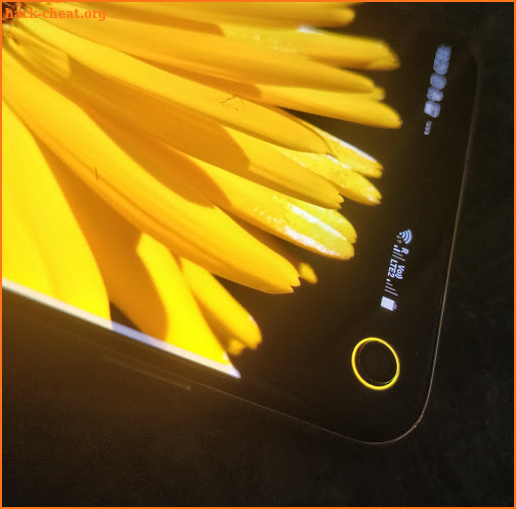 Energy Ring - Battery indicator for Galaxy S10/e/+ screenshot