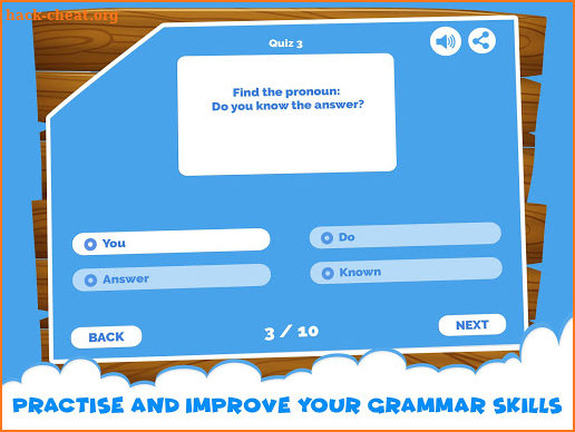 English Grammar Pronouns Quiz screenshot