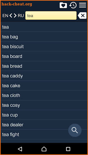 English Russian Dictionary+ screenshot