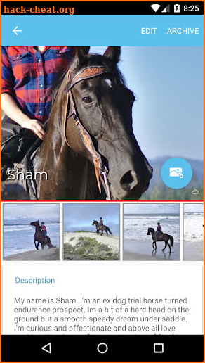 Equesteo screenshot