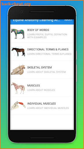 Equine Anatomy Learning Aid (EALA) screenshot