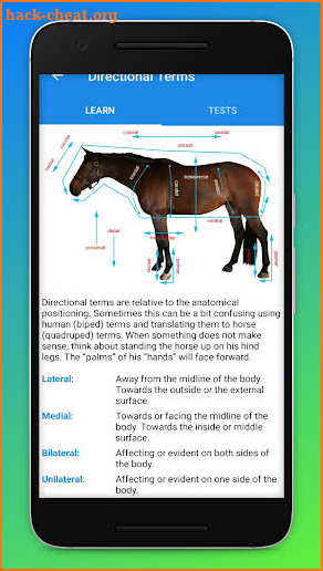 Equine Anatomy Learning Aid (EALA) screenshot