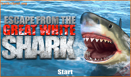 Escape From The Great White Shark screenshot