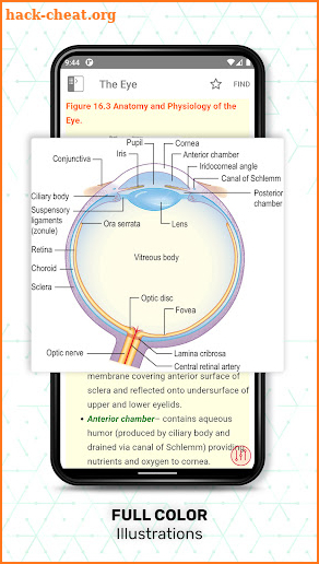 Essentials Clinical Medicine screenshot