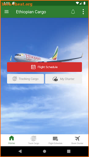 Ethiopian Cargo screenshot