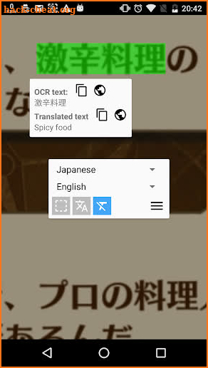 Ever Translator (Screen translate) screenshot