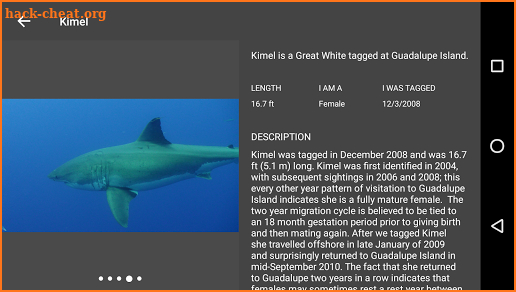 Expedition White Shark screenshot