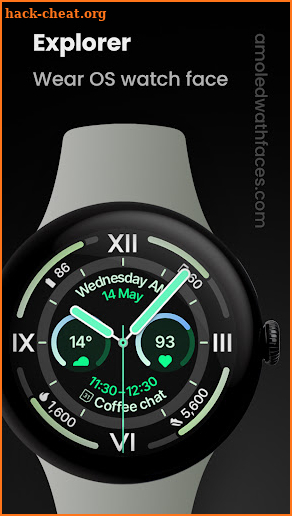 Explorer Watch Face screenshot