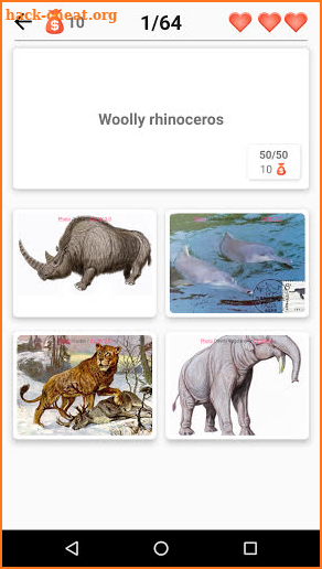 Extinct animals, endangered species! Rare animals screenshot