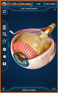 Eye Anatomy Pro. screenshot